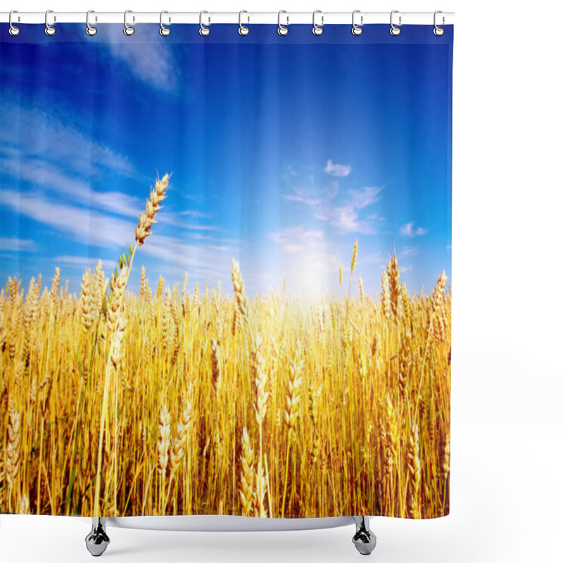 Personality  Golden Wheat Field With Blue Sky In Background Shower Curtains