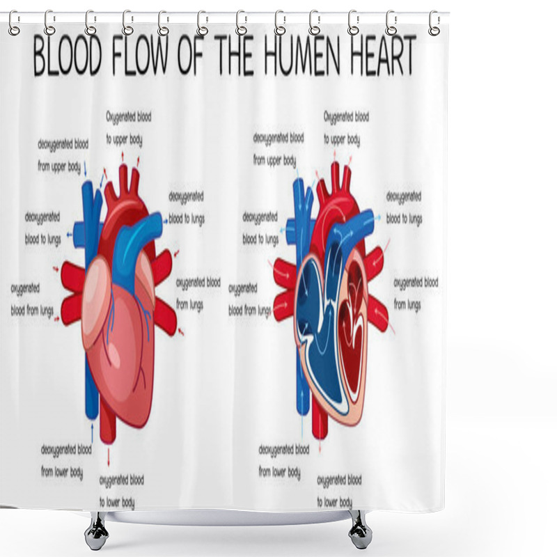 Personality  Blood Flow Of Human Heart Diagram Illustration Shower Curtains