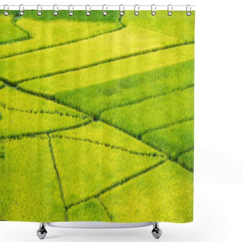 Personality  Yellow Rice Field Shower Curtains