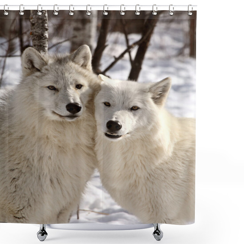 Personality  Arctic Wolves In Winter Shower Curtains