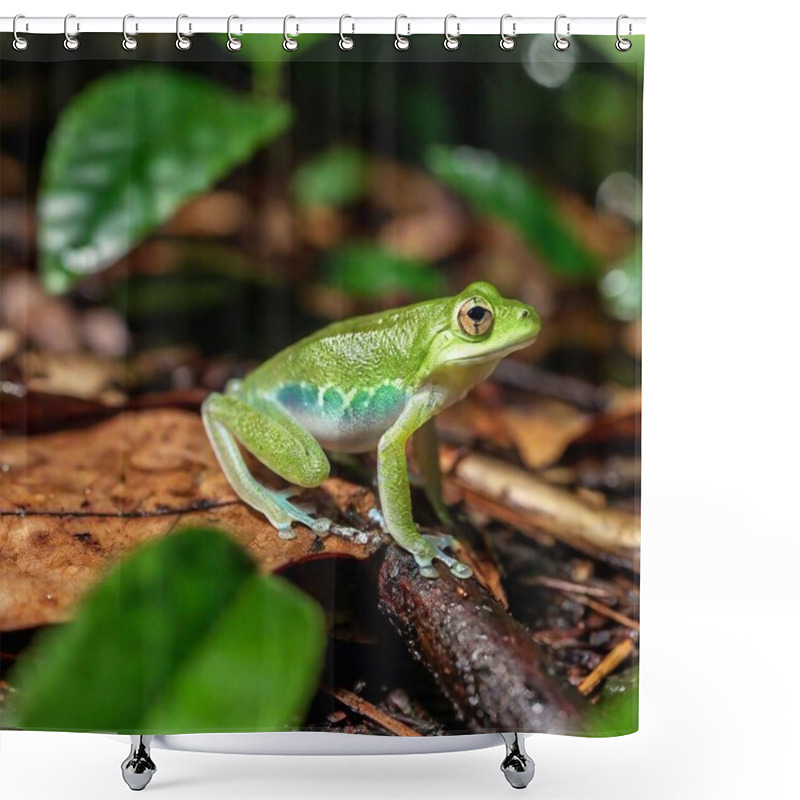 Personality  Macro Shot Of A Green Frog In A Misty Rainforest Setting Shower Curtains