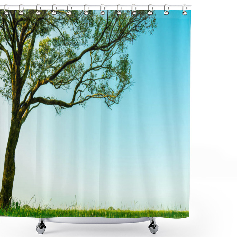 Personality  Big Green Tree With Beautiful Branches Pattern And Green Grass F Shower Curtains