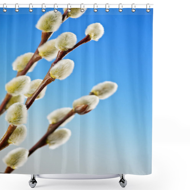 Personality  Spring Pussy Willows Shower Curtains