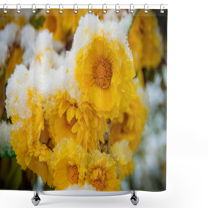 Personality  Yellow Chrysanthemums Covered With Wet Snow Shower Curtains