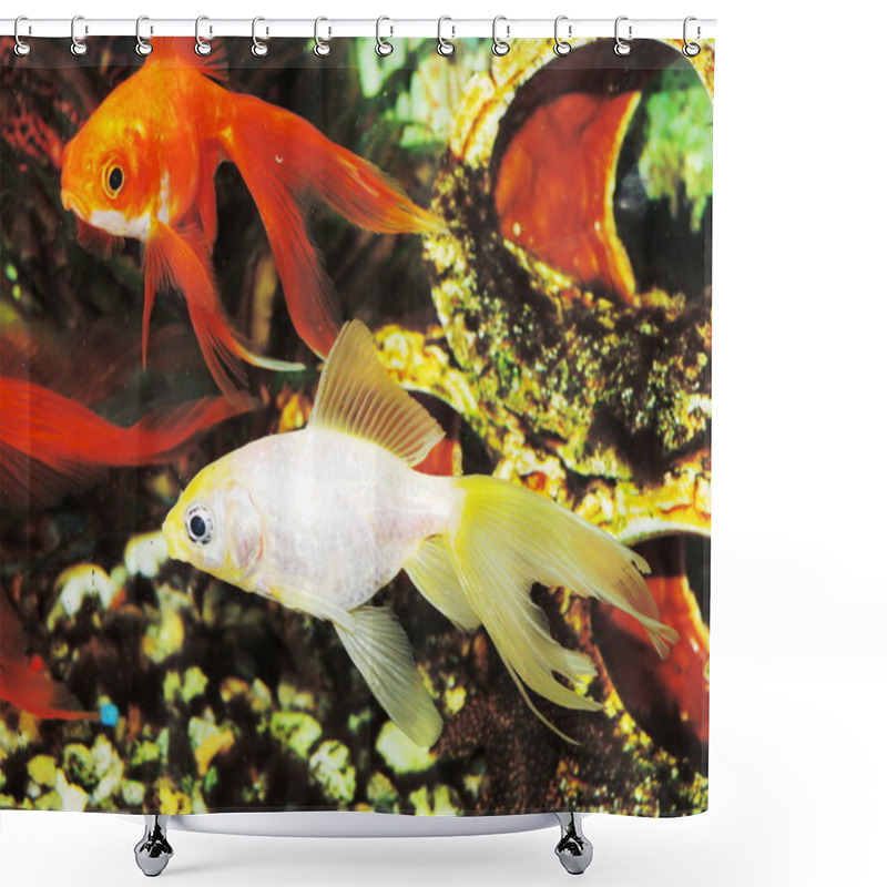 Personality  Goldfish Shower Curtains