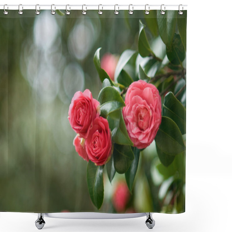 Personality  Camellia Shower Curtains