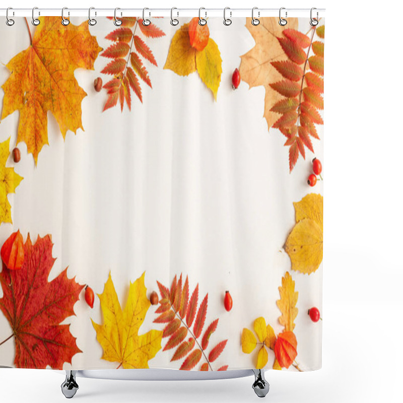 Personality  Autumn Deciduous. Composition Of Autumn Leaves, Fruits And Nuts. View From Above. Shower Curtains