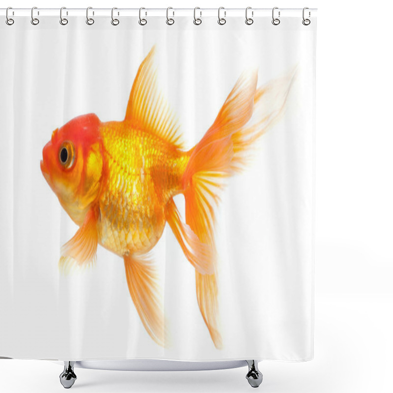 Personality  Gold Fish Shower Curtains