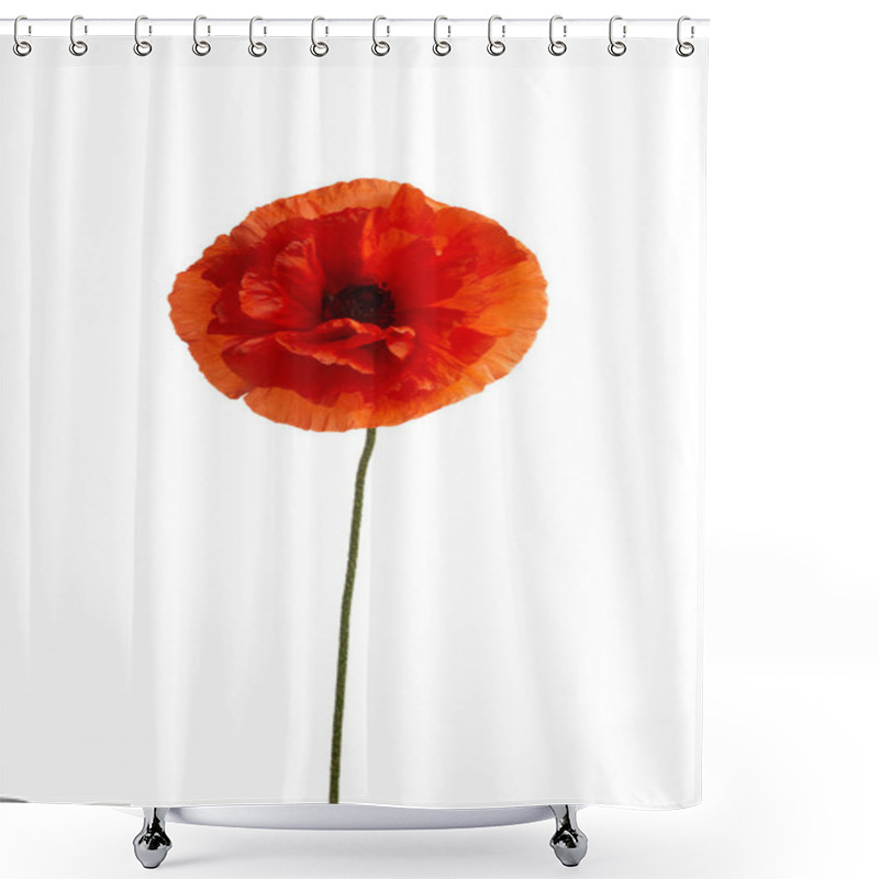 Personality  Bright Red Poppy Flower Isolated On White Background. Shower Curtains