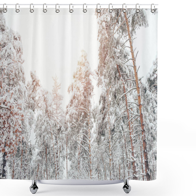 Personality  Low Angle View Of Snowy Winter Forest And Sunlight Shower Curtains