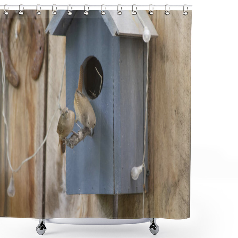 Personality  Birds Caring For The Nest In A Birdhouse Mounted On A Wooden Fence Shower Curtains