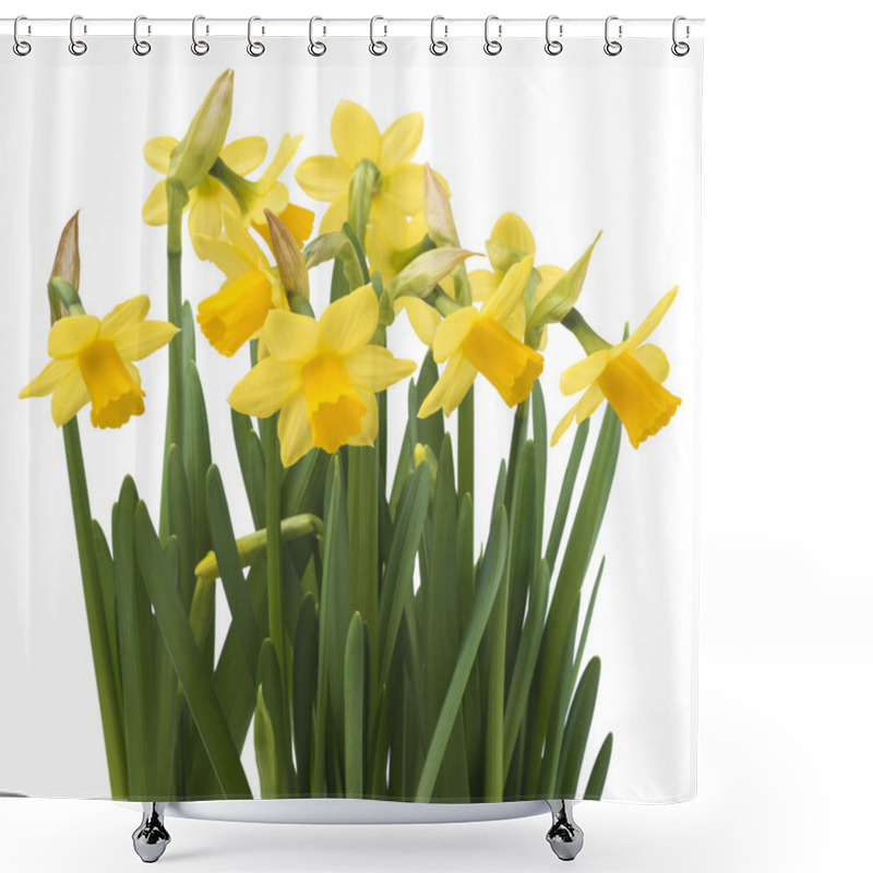 Personality  Daffodil Narcissus Flowers Shower Curtains