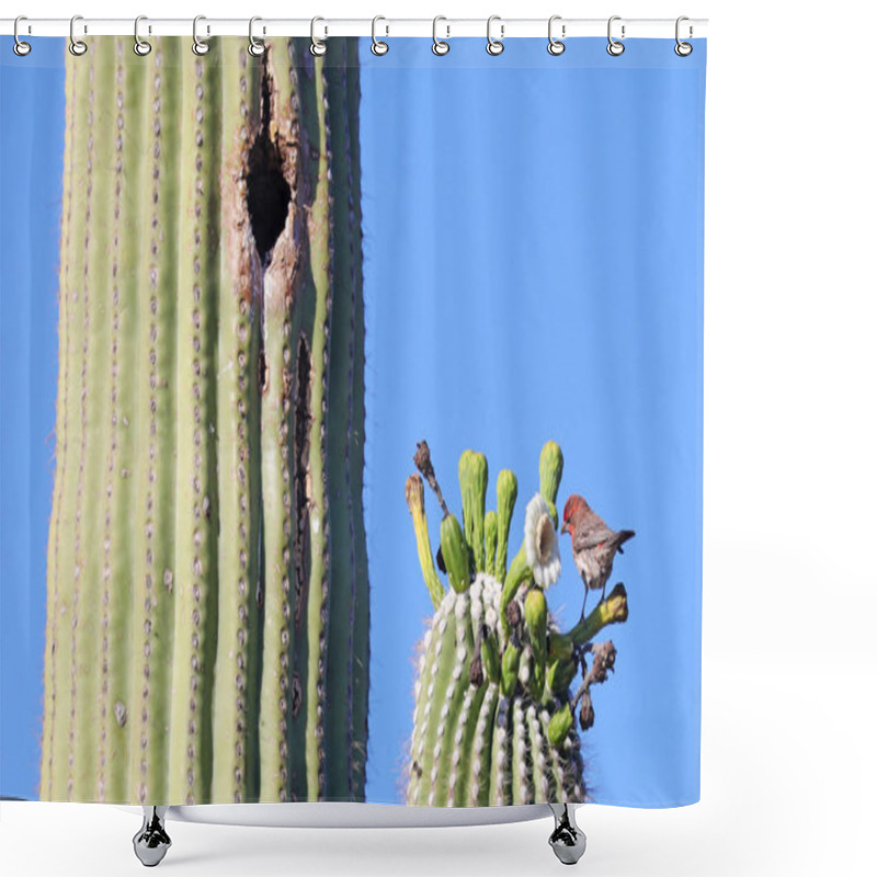 Personality  House Finch On A Big Saguaro, Arizona Shower Curtains