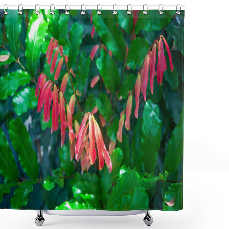 Personality  Close Up View Of Beautiful Exotic Flower Shower Curtains