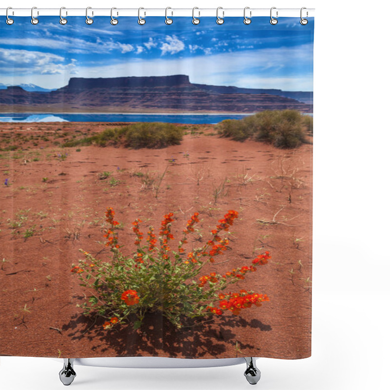 Personality  Wild Flowers Near Evaporation Ponds - Potash Road In Moab Utah Shower Curtains