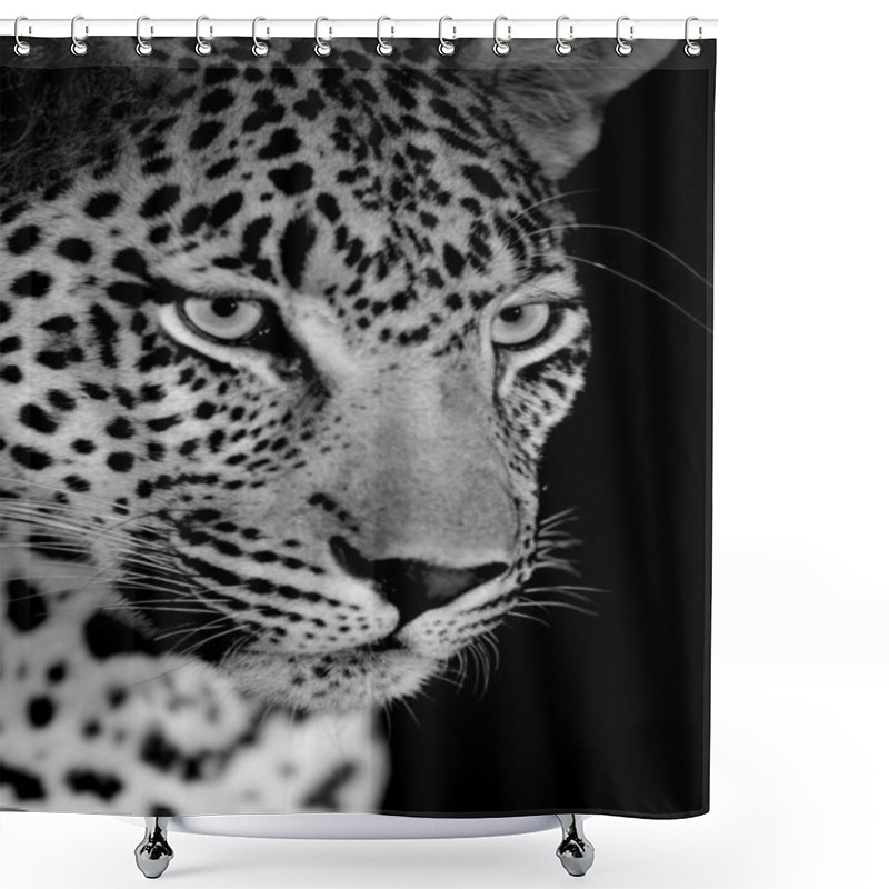 Personality  Wild African Leopard Shower Curtains