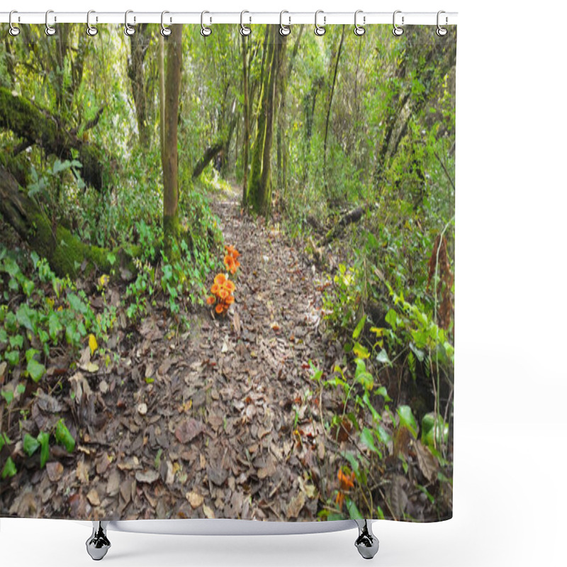 Personality  Vibrant Orange Mushrooms Growing In Clusters On Forest Floor Amid Fallen Autumn Leaves And Green Undergrowth, Creating A Striking Natural Display In Woodland At Rio De Mouros Pathway In Condeixa, Coimbra Portugal. Shower Curtains