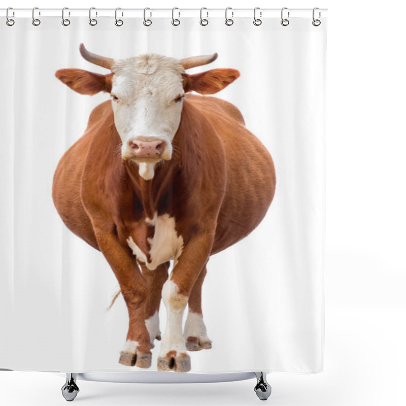 Personality  Cow Isolated On White Shower Curtains