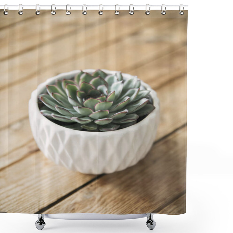 Personality  Close Up Of Succuletns In White Design Pot On The Wooden Table. Stylish And Botany Composition In Home Interior. Shower Curtains