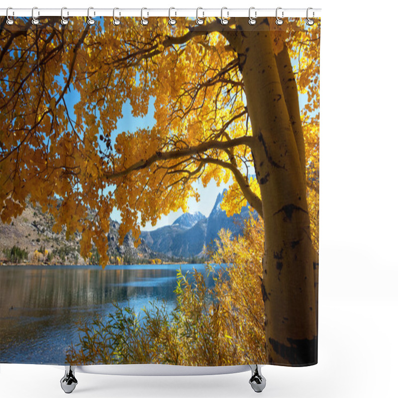 Personality  Autumn Lake Shower Curtains