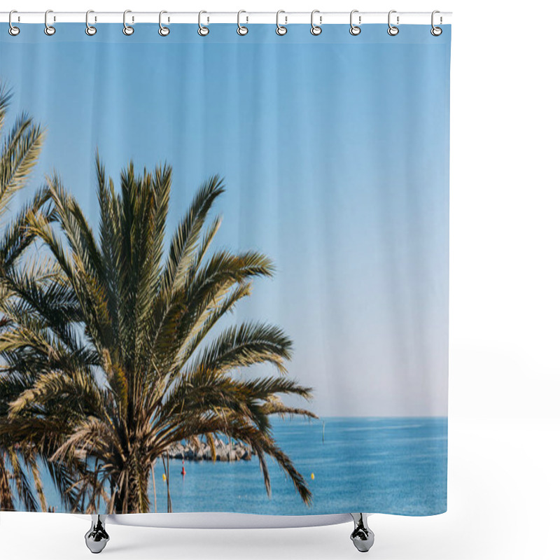 Personality  Scenic View Of Lush Palm Tree And Blue Sea, Barcelona, Spain Shower Curtains