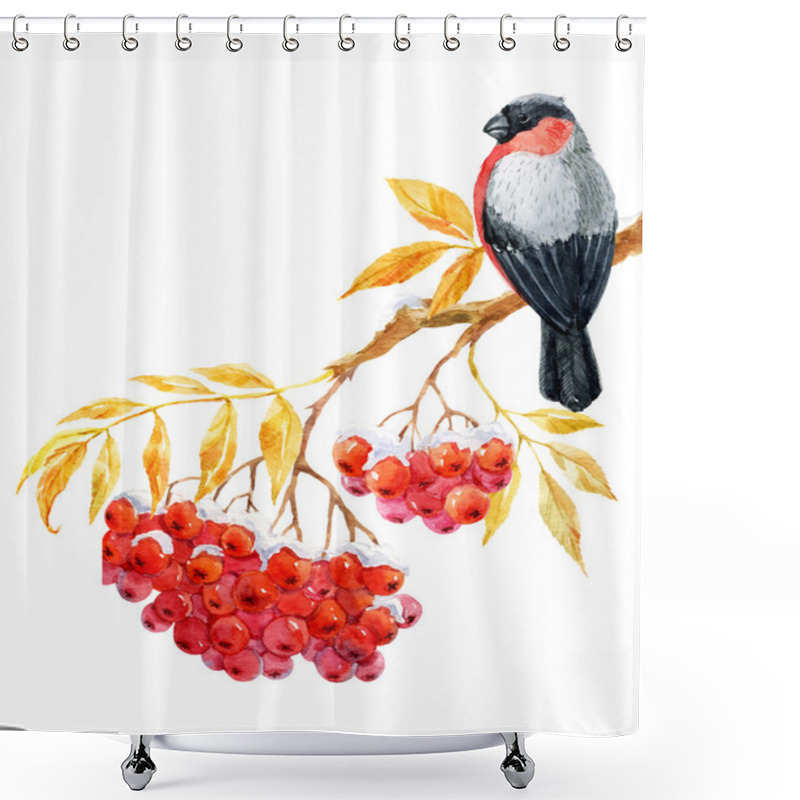 Personality  Bullfinch And Ashberry Shower Curtains