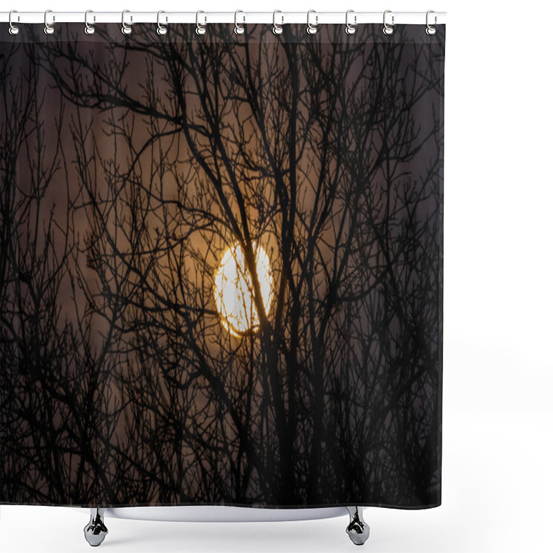 Personality  Night Big Moon In The Twilight Sky With Beautiful Lighting. The Celestial Luminary Lights Up The Evening Through The Leafless Branches Of Tall Trees And You Can See The Fabulous Intertwined Silhouettes Shower Curtains