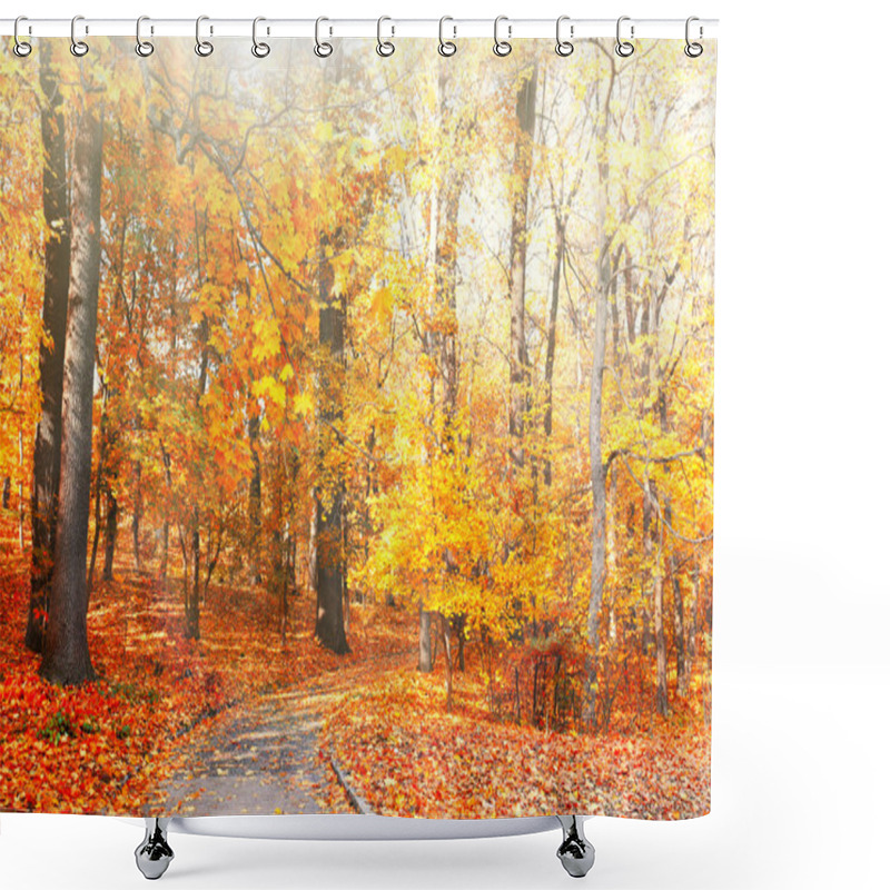 Personality  Autumn Trees With Sunlight In Park Shower Curtains