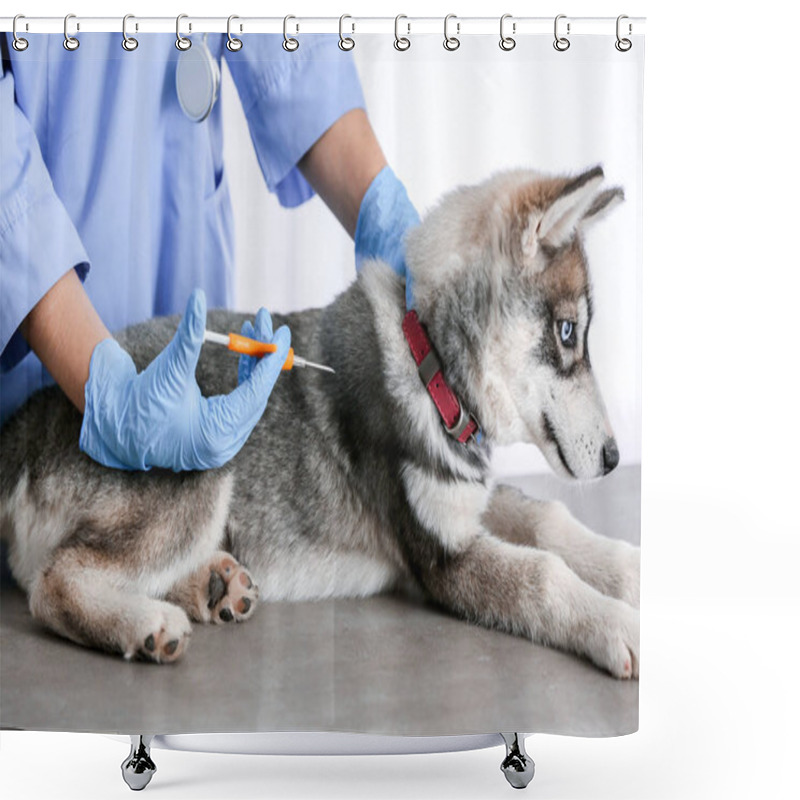 Personality  Veterinarian Microchipping Cute Puppy In Clinic Shower Curtains