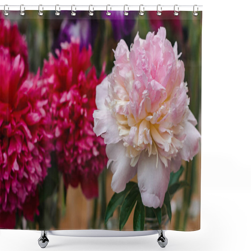 Personality  Flowers. Image Of Beautiful Peonies At The Exhibition, Close-up Shower Curtains