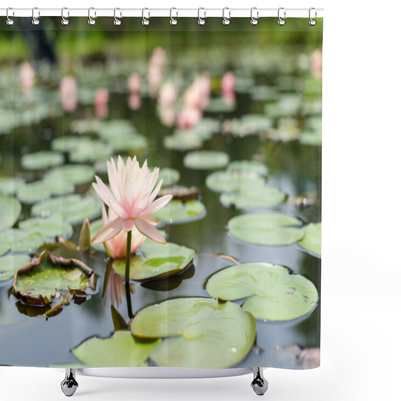 Personality  Water Lilies In River Water Shower Curtains