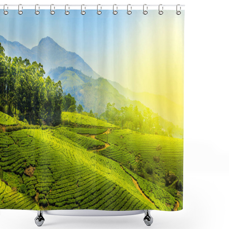 Personality  Tea Plantations In Munnar, Kerala, India. Shower Curtains