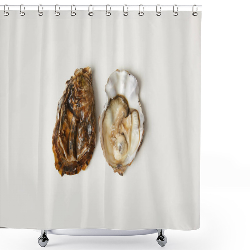 Personality  Open Fresh Oyster Clams Isolated On White Shower Curtains