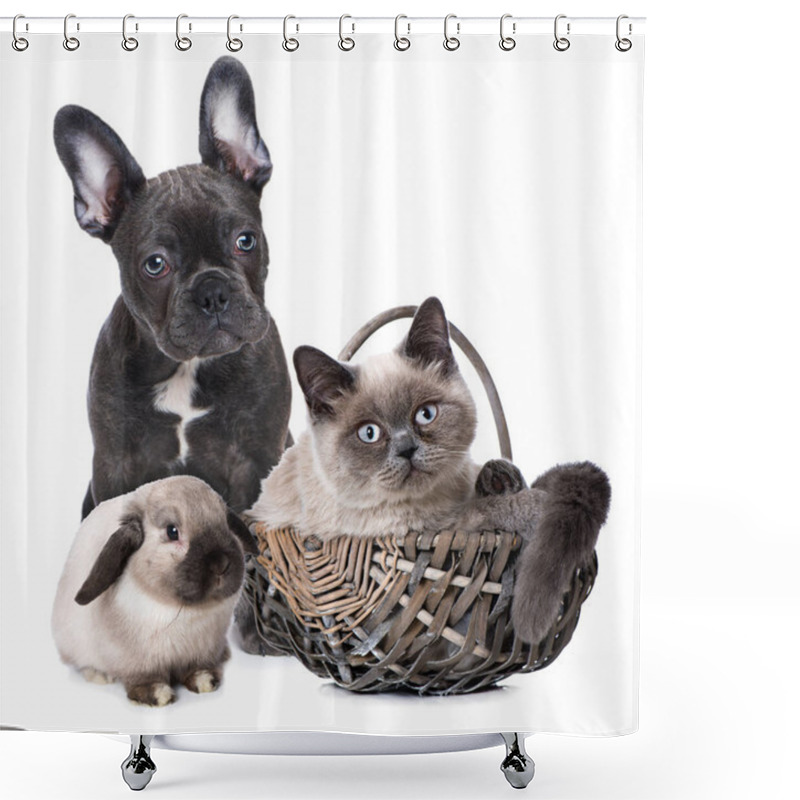 Personality  Rabbit, Puppy And A Kitten Isolated On White Background Shower Curtains