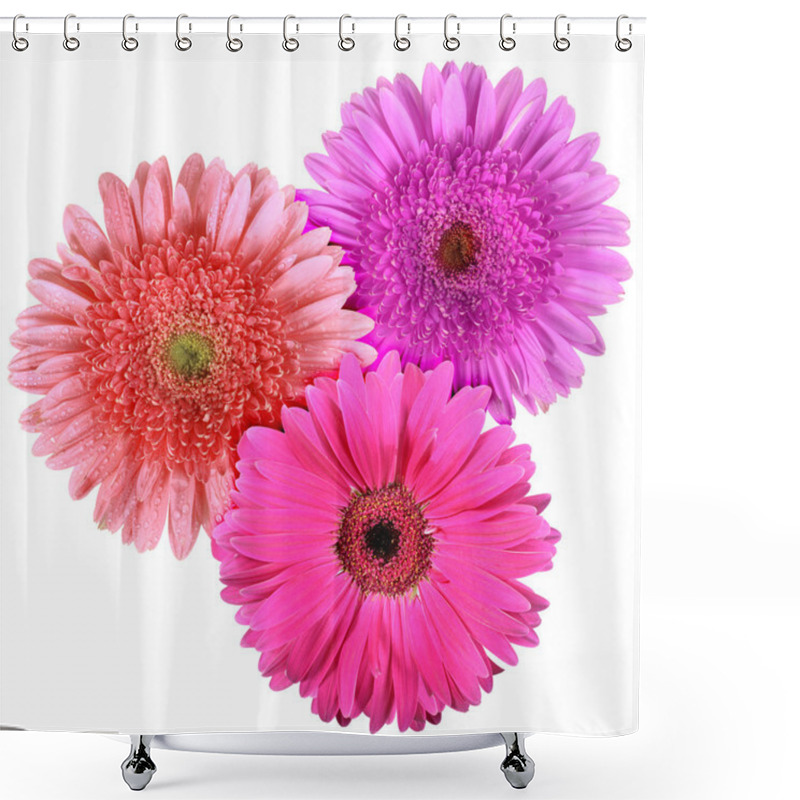 Personality  Set Of Three Flowers Isolated On White Background Shower Curtains