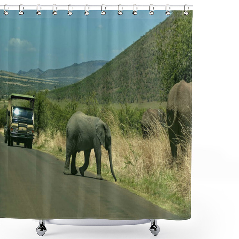 Personality  Baby Elephant Cut Off The Road In Pilanesberg National Park Shower Curtains