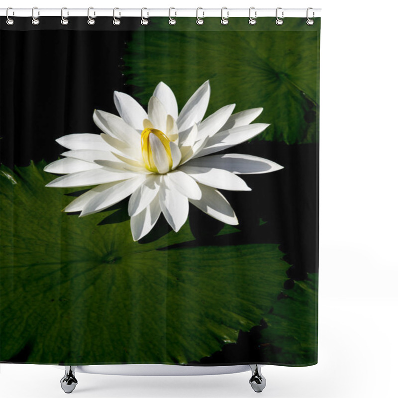 Personality  Lotus Shower Curtains