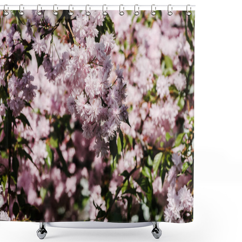 Personality  Sakura Shower Curtains