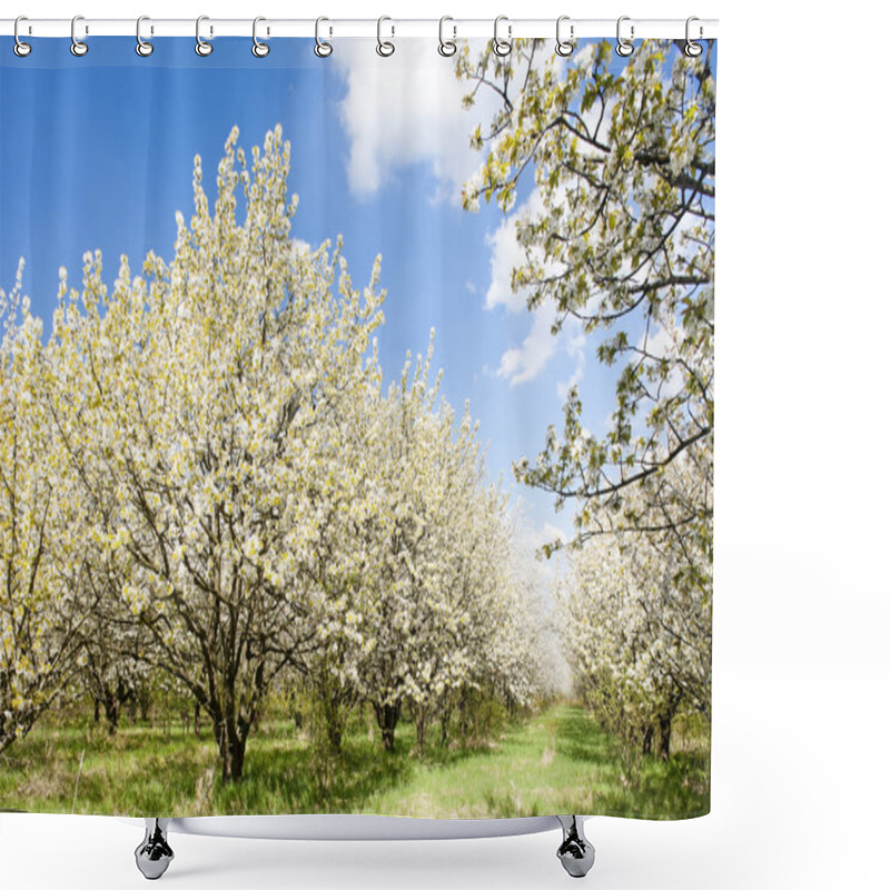 Personality  Blooming Orchard In Spring Shower Curtains