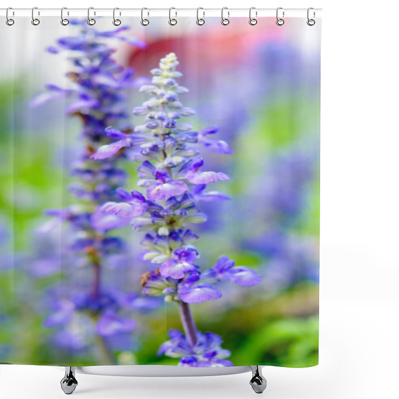 Personality  Blooming Salvia Flowers Shower Curtains