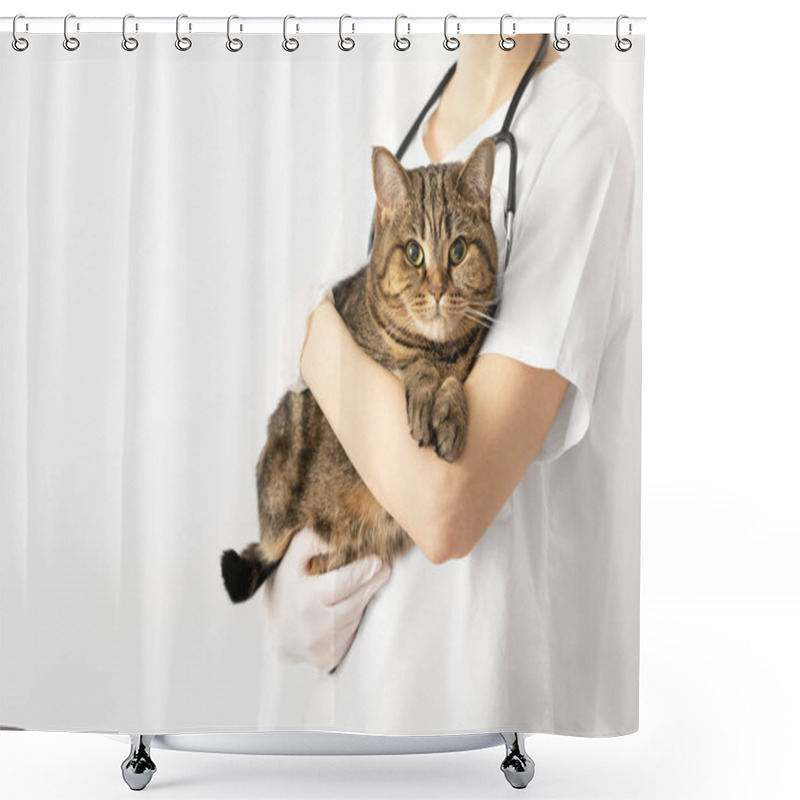 Personality  A Veterinarian Holds A Striped Cat In His Arms. Veterinary Clinic. White Background, Copy Space. Scottish Straight. Shower Curtains