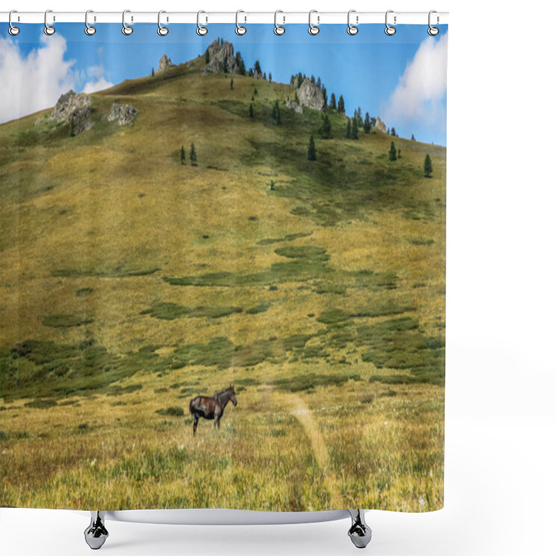 Personality  Horse Shower Curtains