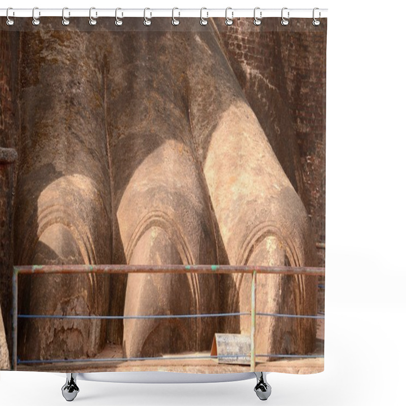 Personality  Sigiriya Lion Paw Shower Curtains