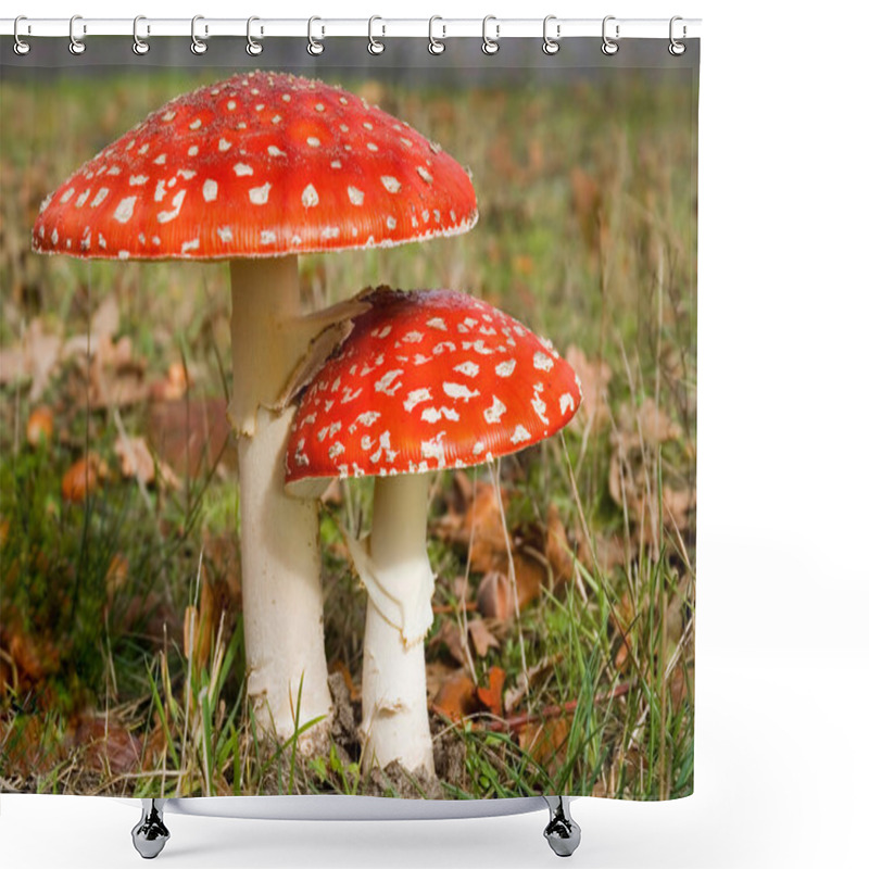 Personality  Two Agaric Mushrooms Shower Curtains