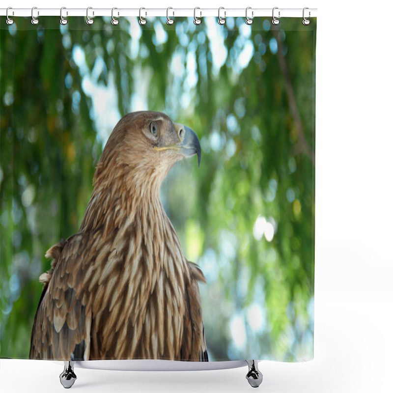 Personality  A Hawk Eagle Sitting On The Tree. Shower Curtains