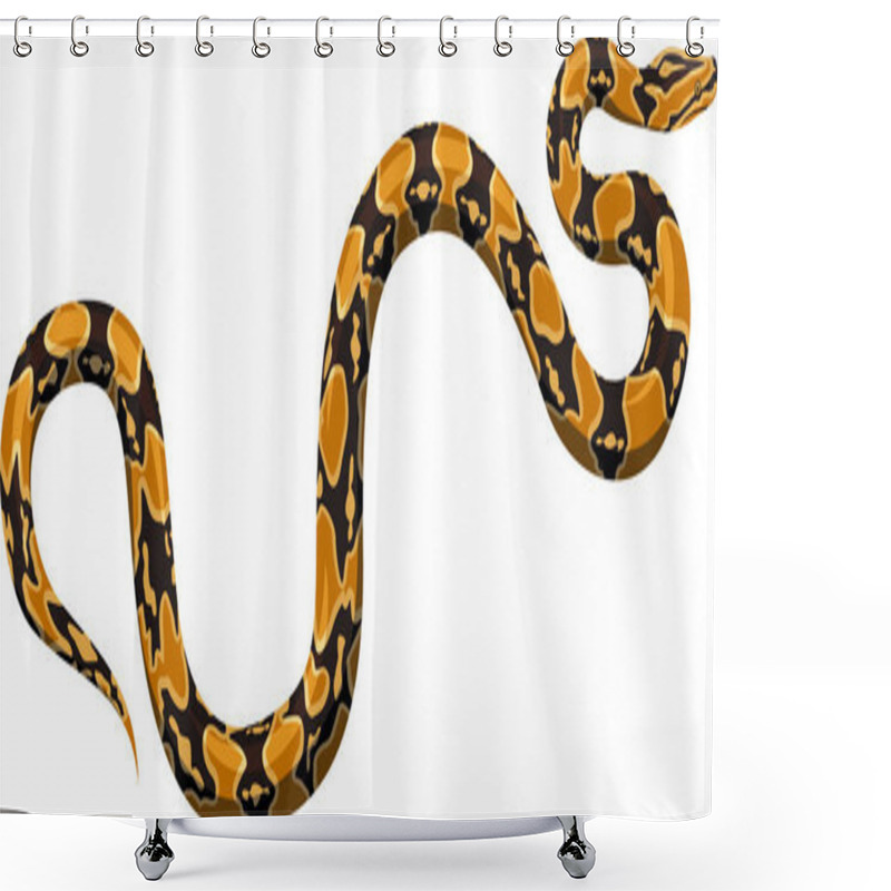 Personality  Vector Python Boa Shower Curtains