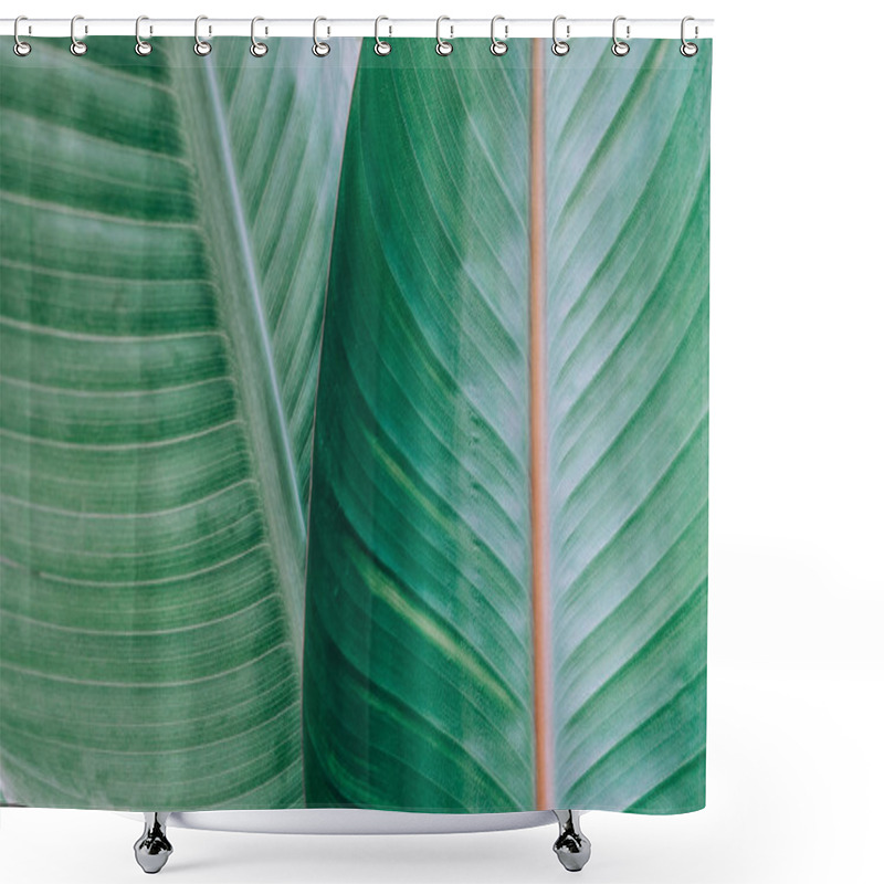 Personality  Tropical Leaves Texture. Leaf Texture Background Shower Curtains