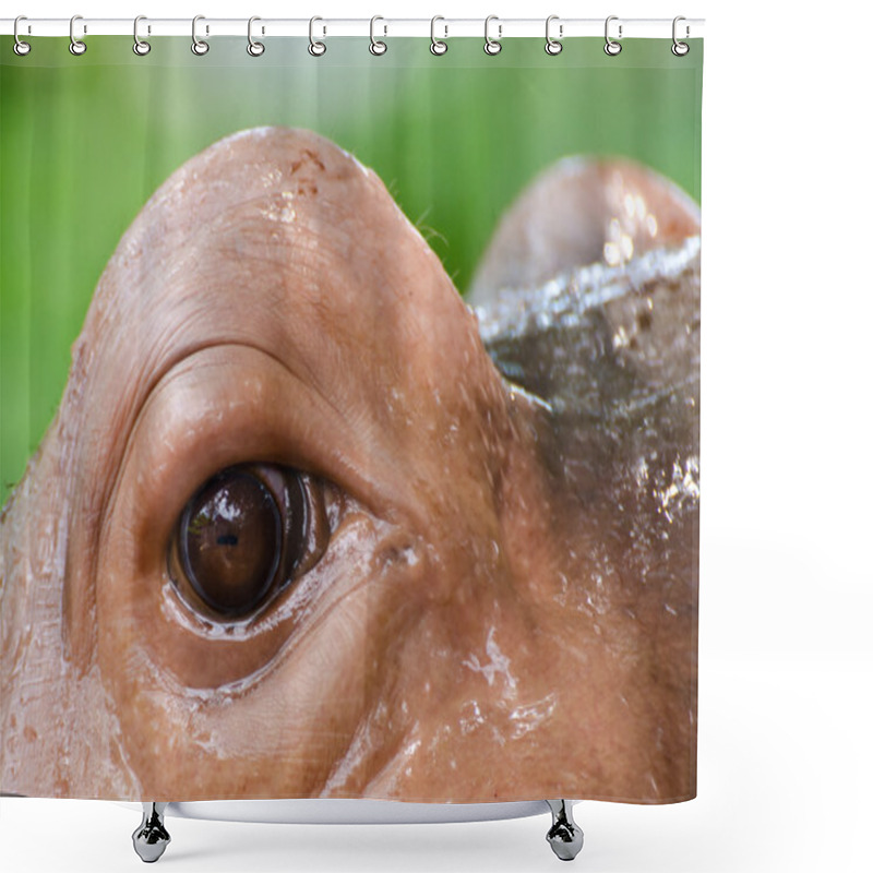 Personality  Animal Eyes Shower Curtains