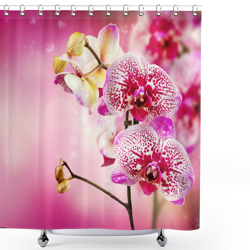 Personality  Orchid Flower Shower Curtains