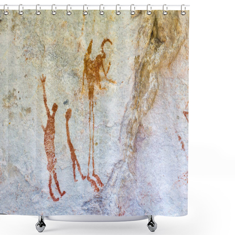 Personality  San Rock Art In Cederberg Mountains South Africa Shower Curtains